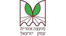 מועצה איזורית 