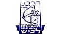 מועצה איזורית 