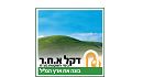 חברת בנייה 